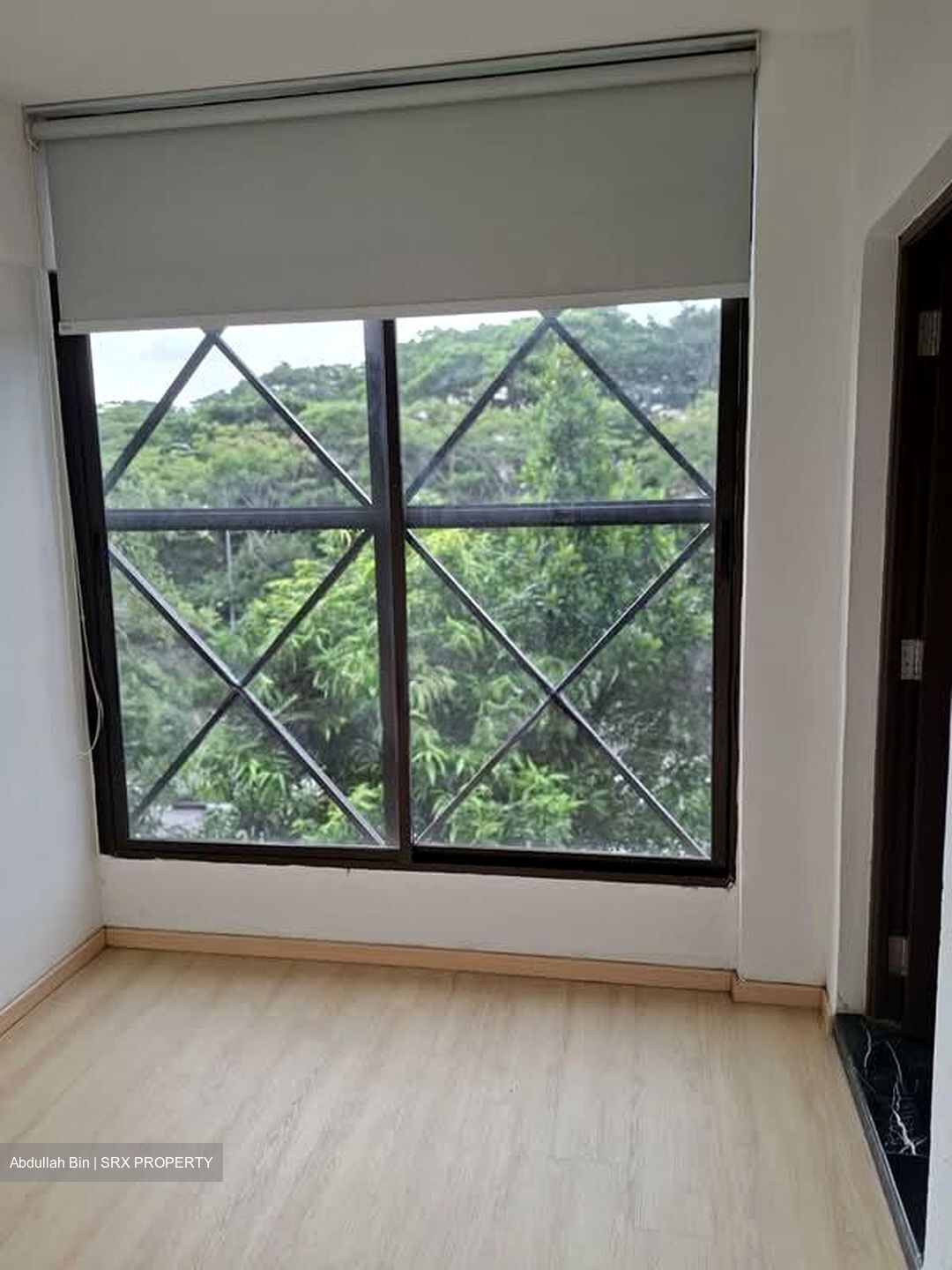 Bukit Timah Road (D21), Apartment #590810471